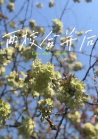 两校合作具体举措